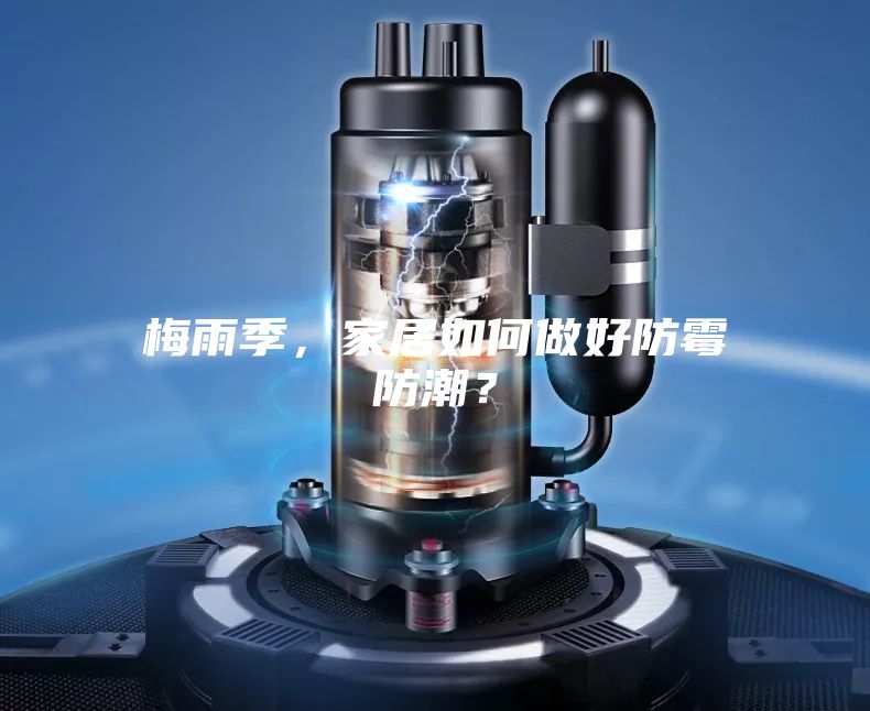 梅雨季，家居如何做好防霉防潮？