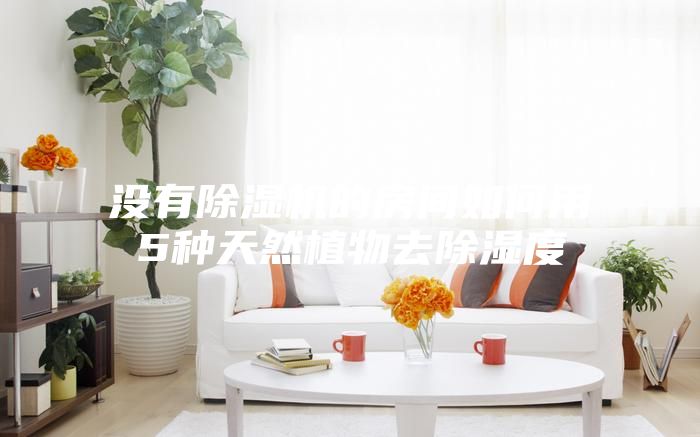 沒(méi)有除濕機的房間如何用5種天然植物去除濕度