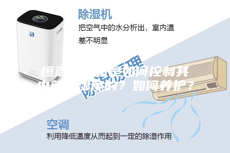 恒溫恒濕箱是如何控制其內部溫濕度的？如何養護？