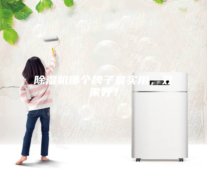 除濕機哪個(gè)牌子最實(shí)用，效果好？