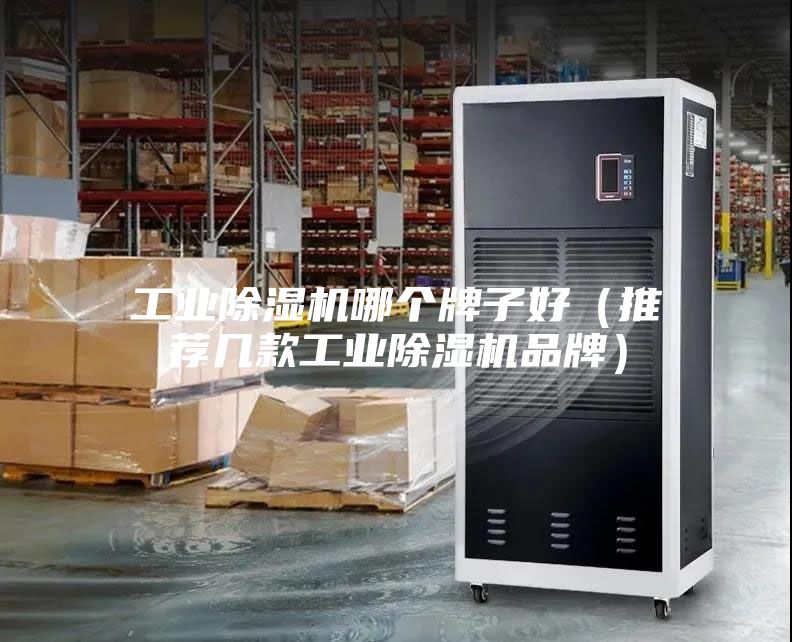 工業(yè)除濕機哪個(gè)牌子好（推薦幾款工業(yè)除濕機品牌）