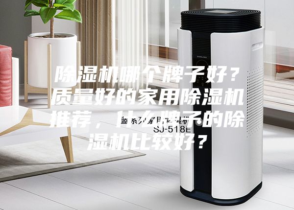 除濕機(jī)哪個(gè)牌子好？質(zhì)量好的家用除濕機(jī)推薦，什么牌子的除濕機(jī)比較好？
