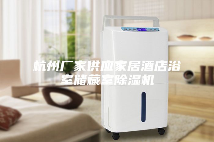 杭州廠(chǎng)家供應家居酒店浴室儲藏室除濕機