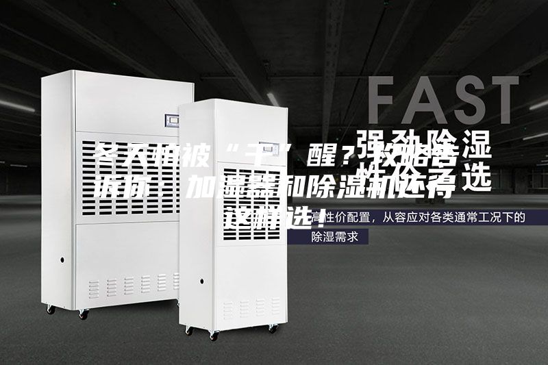 冬天怕被“干”醒？攻略告訴你：加濕器和除濕機還得這樣選！