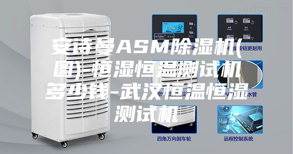安詩(shī)曼ASM除濕機(圖)-恒濕恒溫測試機多少錢(qián)-武漢恒溫恒濕測試機