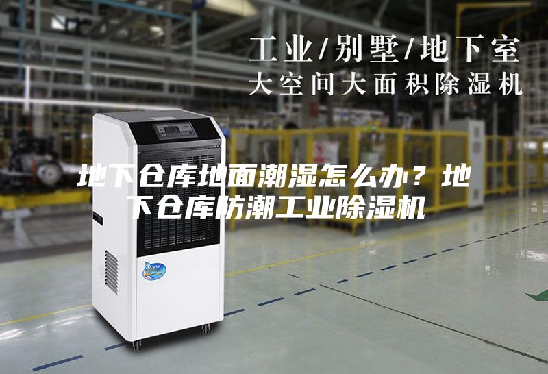 地下倉庫地面潮濕怎么辦？地下倉庫防潮工業(yè)除濕機