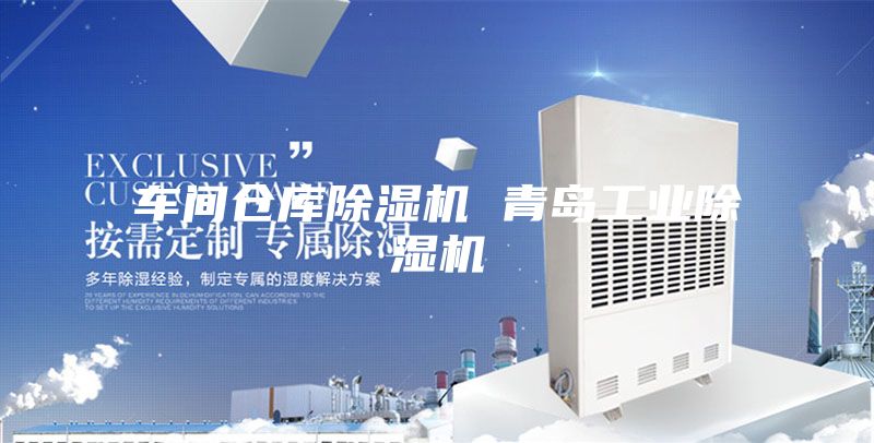 車(chē)間倉庫除濕機 青島工業(yè)除濕機