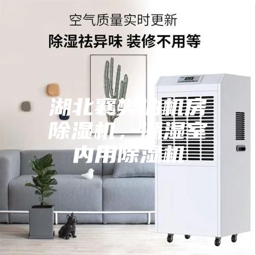 湖北襄樊油機房除濕機，潮濕室內用除濕機