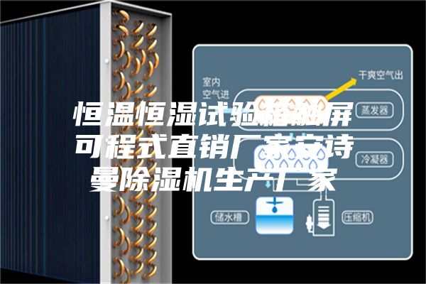 恒溫恒濕試驗箱觸屏可程式直銷(xiāo)廠(chǎng)家安詩(shī)曼除濕機生產(chǎn)廠(chǎng)家