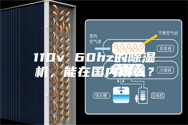 110v 60hz的除濕機，能在國內用么？