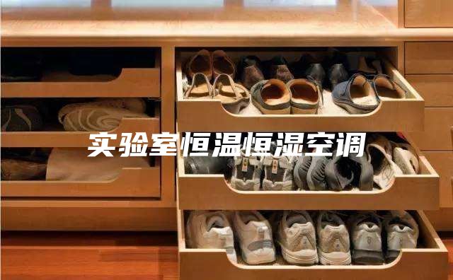 實(shí)驗室恒溫恒濕空調