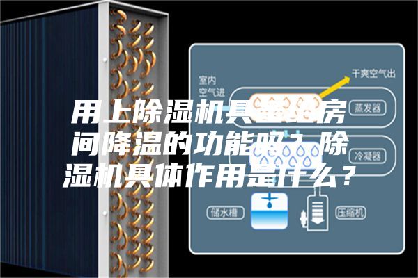用上除濕機具備給房間降溫的功能嗎？除濕機具體作用是什么？