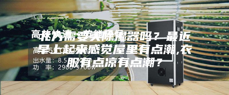 北方需要買(mǎi)除濕器嗎？最近早上起來(lái)感覺(jué)屋里有點(diǎn)潮,衣服有點(diǎn)涼有點(diǎn)潮？