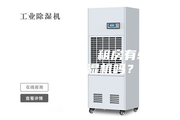初到南方，租房有必要買(mǎi)除濕機嗎？