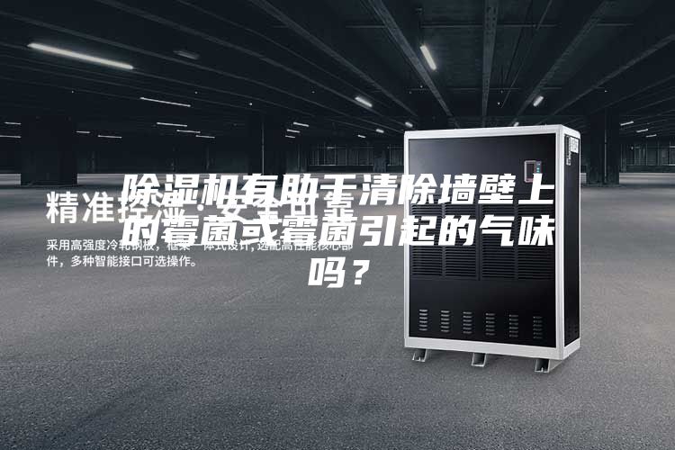 除濕機有助于清除墻壁上的霉菌或霉菌引起的氣味嗎？