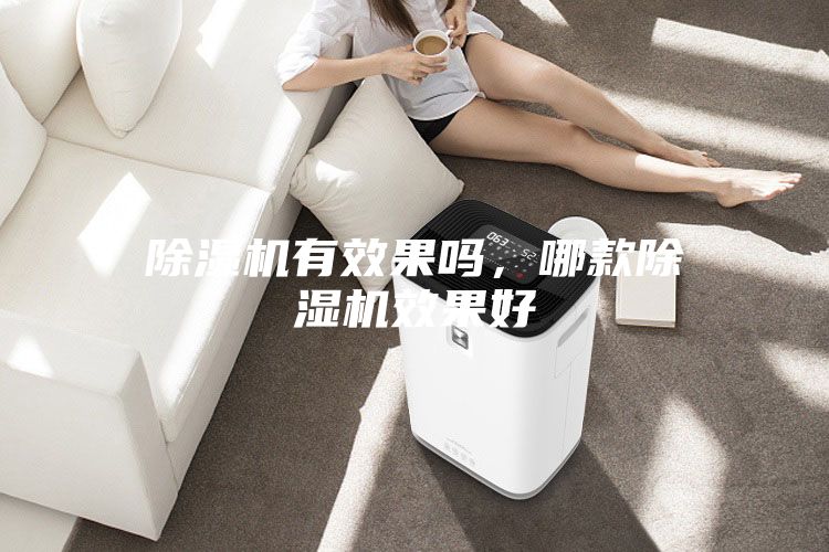 除濕機有效果嗎，哪款除濕機效果好