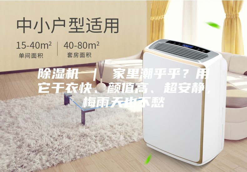 除濕機 ｜ 家里潮乎乎？用它干衣快、顏值高、超安靜，梅雨天也不愁