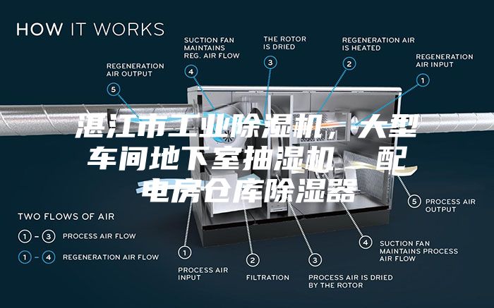 湛江市工業(yè)除濕機，大型車(chē)間地下室抽濕機  配電房倉庫除濕器