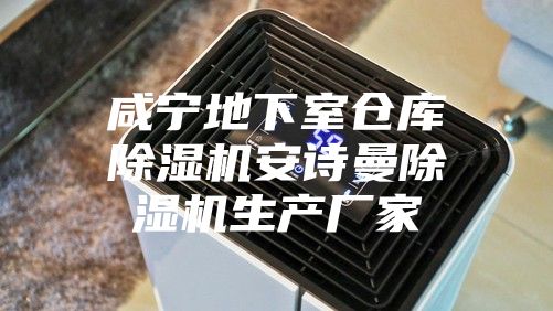 咸寧地下室倉庫除濕機安詩(shī)曼除濕機生產(chǎn)廠(chǎng)家