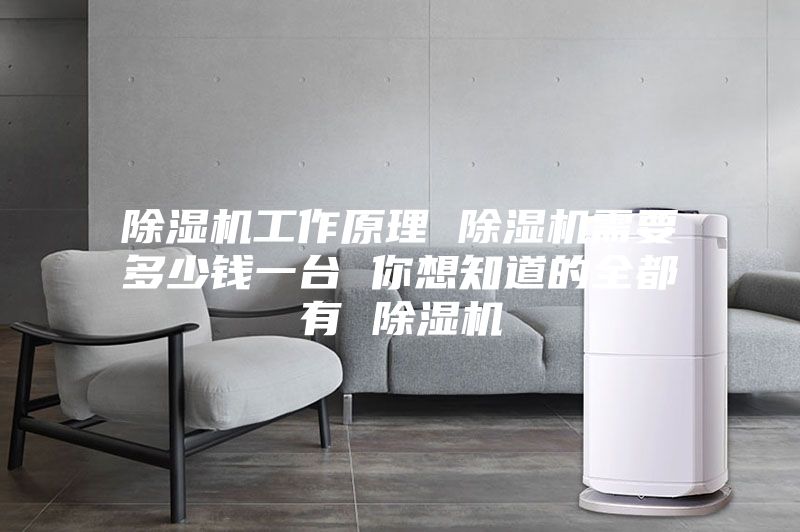除濕機工作原理 除濕機需要多少錢(qián)一臺 你想知道的全都有 除濕機