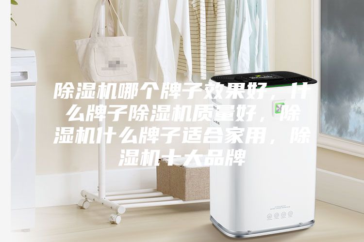 除濕機哪個(gè)牌子效果好，什么牌子除濕機質(zhì)量好，除濕機什么牌子適合家用，除濕機十大品牌