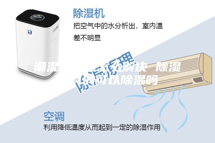 潮濕的問(wèn)題怎么解決 除濕機真的可以除濕嗎
