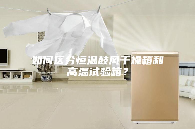如何區分恒溫鼓風(fēng)干燥箱和高溫試驗箱？