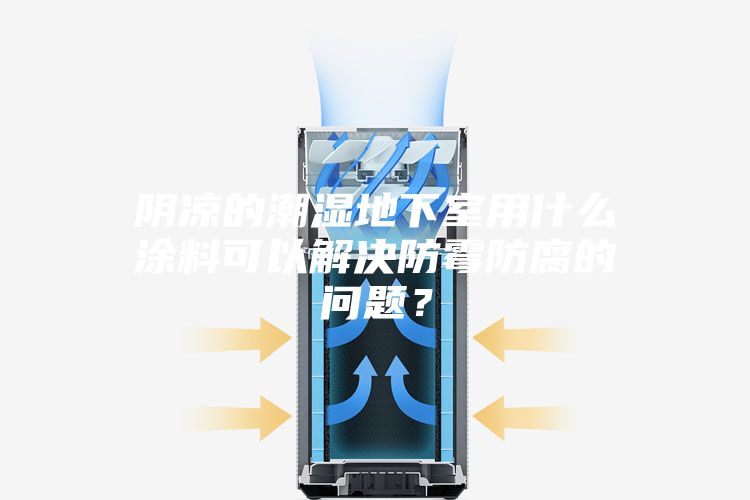 陰涼的潮濕地下室用什么涂料可以解決防霉防腐的問(wèn)題？
