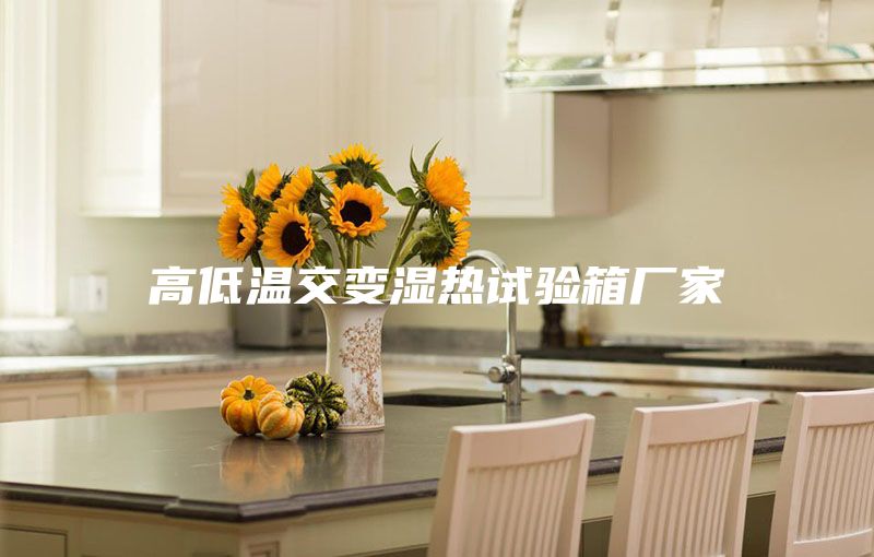 高低溫交變濕熱試驗箱廠(chǎng)家