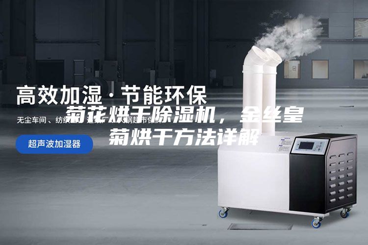 菊花烘干除濕機，金絲皇菊烘干方法詳解