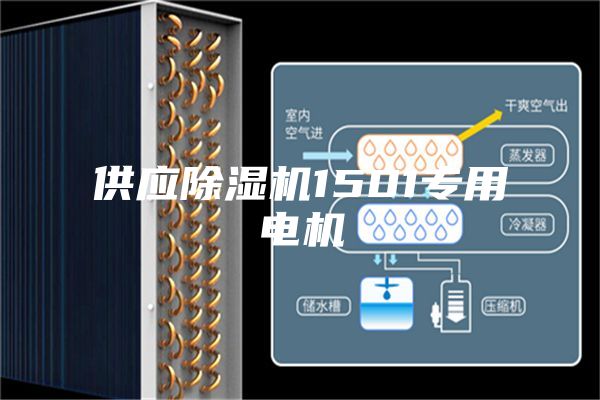 供應除濕機1501專(zhuān)用電機
