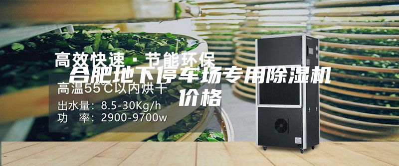 合肥地下停車(chē)場(chǎng)專(zhuān)用除濕機價(jià)格