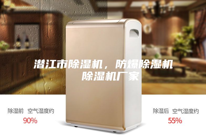 潛江市除濕機，防爆除濕機  除濕機廠(chǎng)家