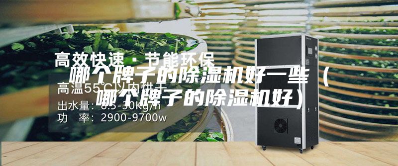 哪個(gè)牌子的除濕機好一些（哪個(gè)牌子的除濕機好）