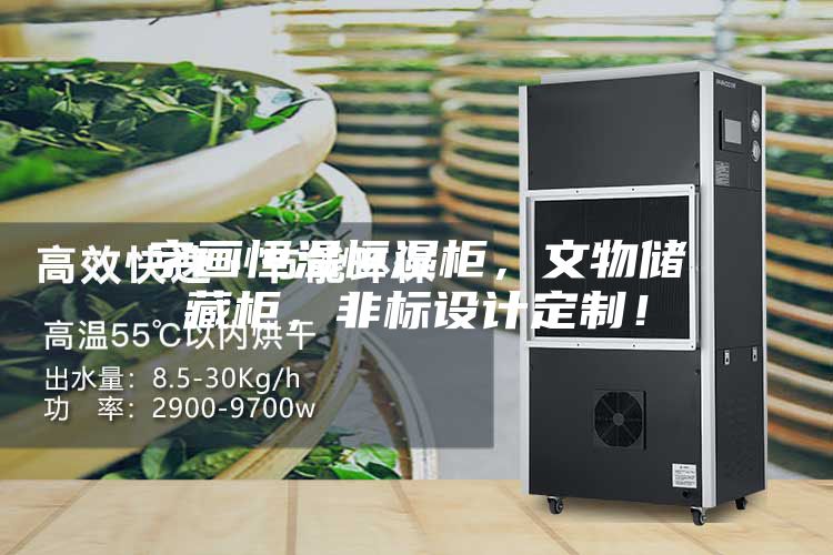 字畫(huà)恒溫恒濕柜，文物儲藏柜，非標設計定制！