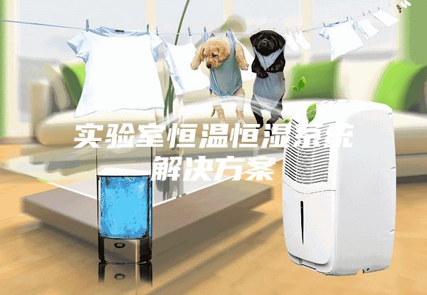 實(shí)驗室恒溫恒濕系統解決方案