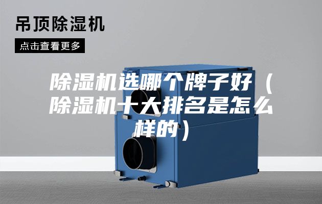除濕機選哪個(gè)牌子好（除濕機十大排名是怎么樣的）
