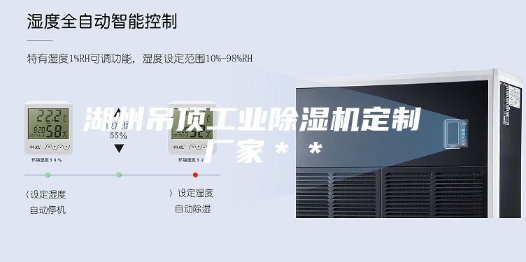 湖州吊頂工業(yè)除濕機定制 廠(chǎng)家＊＊