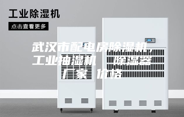 武漢市配電房除濕機，工業(yè)抽濕機  除濕器廠(chǎng)家 價(jià)格