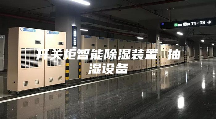 開(kāi)關(guān)柜智能除濕裝置 抽濕設備