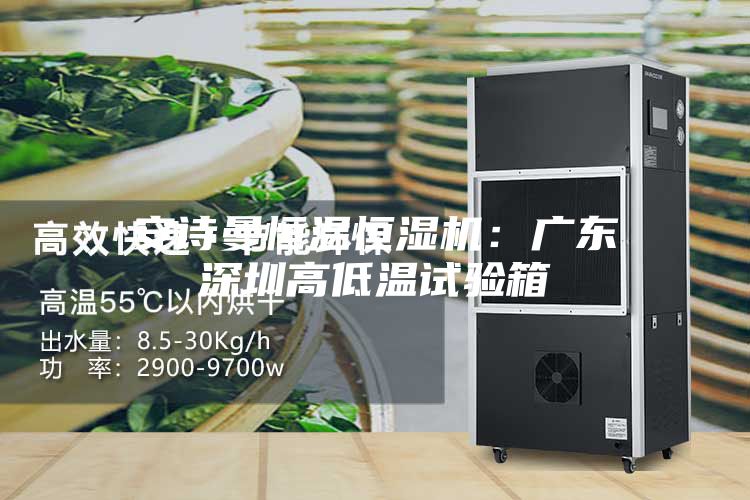 安詩(shī)曼恒溫恒濕機：廣東深圳高低溫試驗箱
