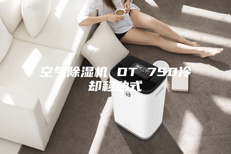 空氣除濕機 DT 750冷卻移動(dòng)式