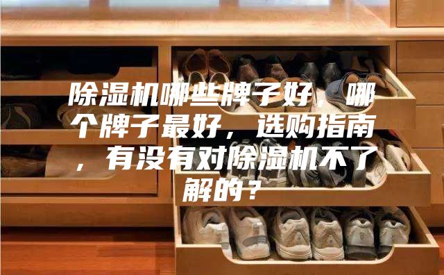 除濕機哪些牌子好，哪個(gè)牌子最好，選購指南，有沒(méi)有對除濕機不了解的？