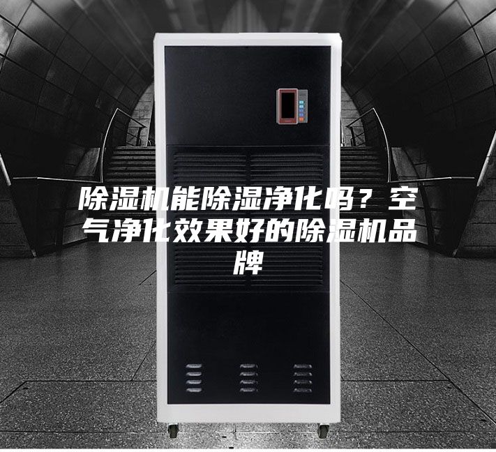 除濕機能除濕凈化嗎？空氣凈化效果好的除濕機品牌
