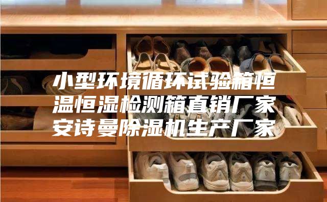 小型環(huán)境循環(huán)試驗箱恒溫恒濕檢測箱直銷(xiāo)廠(chǎng)家安詩(shī)曼除濕機生產(chǎn)廠(chǎng)家