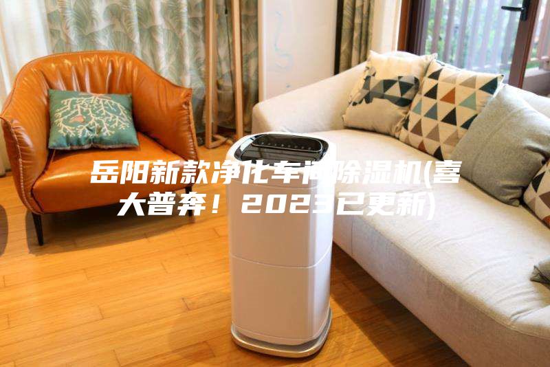 岳陽(yáng)新款凈化車(chē)間除濕機(喜大普奔！2023已更新)