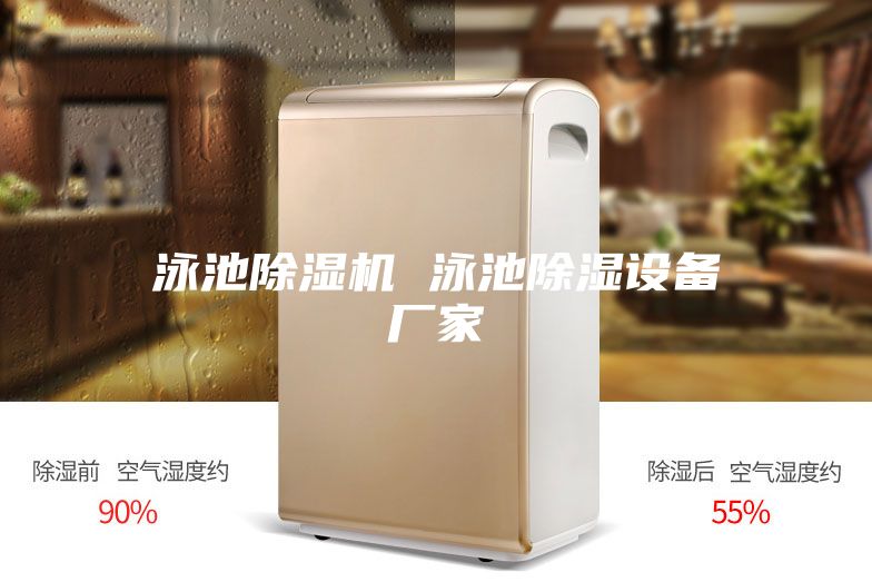 泳池除濕機 泳池除濕設備廠(chǎng)家