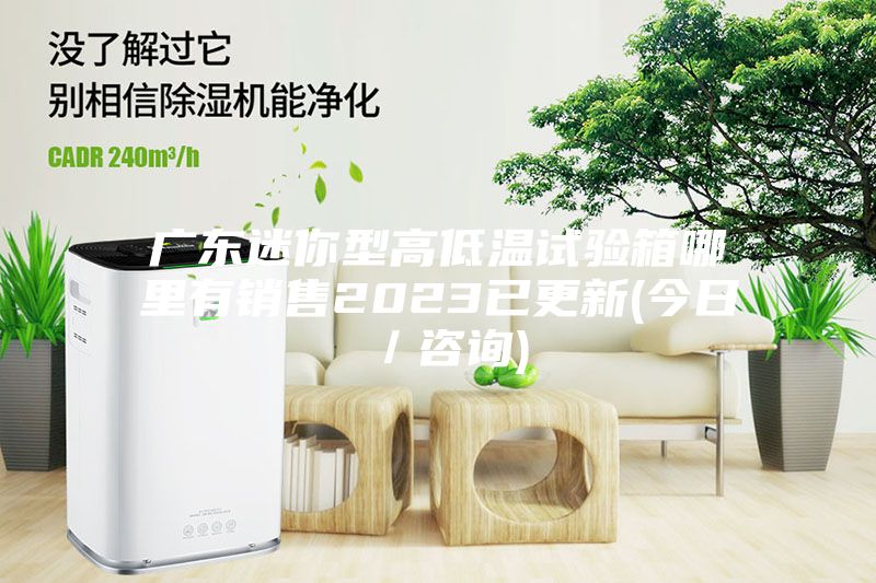廣東迷你型高低溫試驗箱哪里有銷(xiāo)售2023已更新(今日／咨詢(xún))