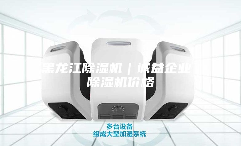 黑龍江除濕機｜誠益企業(yè)｜除濕機價(jià)格