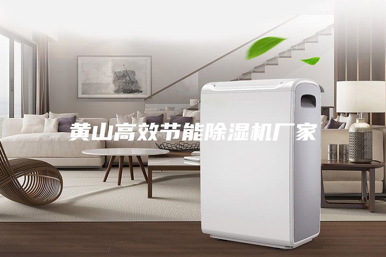黃山高效節能除濕機廠(chǎng)家
